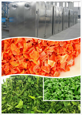 蔬菜熱泵烘干機,蔬菜空氣能干燥設(shè)備,果蔬烘干房