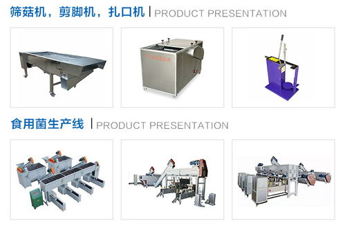 隨州鴻宇機(jī)械設(shè)備廠家小型羊肚菌烘干箱與果蔬烘干機(jī)市場(chǎng)價(jià)格解析